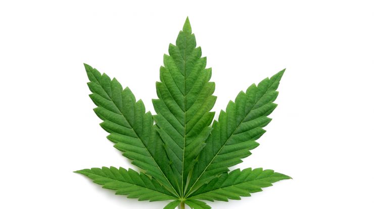 Prezidenţiale 2025 cu Albă ca Zăpada