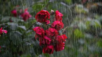 Știi de vreme? Plouă astăzi în jumătate de țară, dar weekendul aduce vești bune