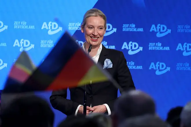 AfD este un „grup extremist de dreapta” și acționează împotriva democrației Germaniei, afirmă Serviciile de Informații