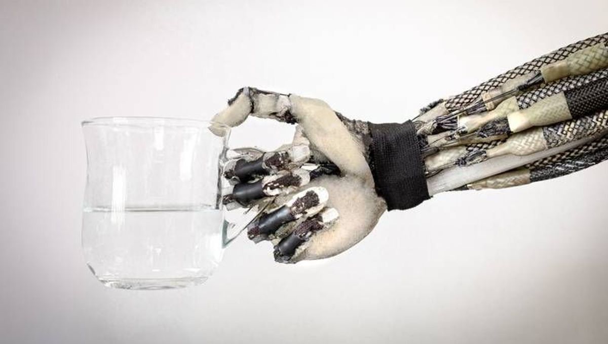 Primul braț bionic cu mușchi umani vii a fost creat în Spania