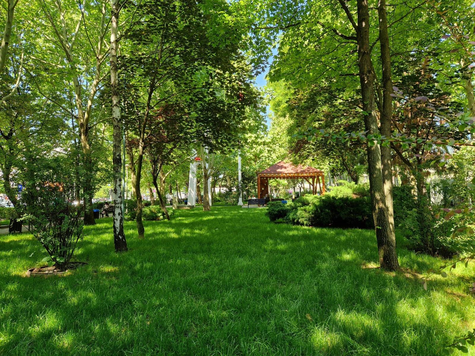 O bancă plină de gunoaie din Parcul Crângași provoacă revoltă pe rețelele sociale