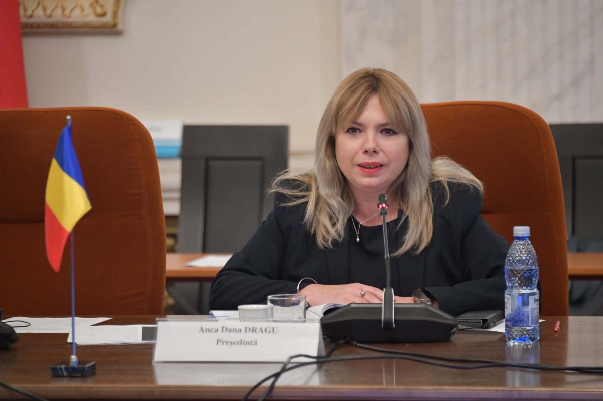 Președintele ia în calcul un Guvern tehnocrat. Anca Dragu, Delia Velculescu și Ionuț Dumitru sunt printre numele vehiculate pentru funcția de Premier