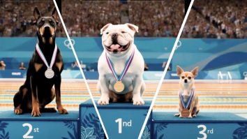 Care-i trendul? Câinii care fac sărituri olimpice în apă au ajuns virali pe TikTok