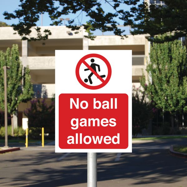 Britanicii vor să elimine tăblițele cu „interzis jocul cu mingea”. Autoritățile vor să încurajeze copiii să se joace afară