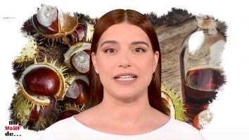 Un vârf de… castan sălbatic