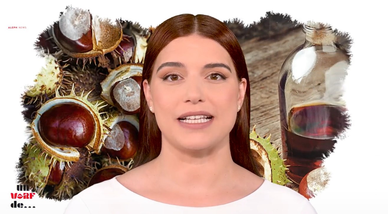 Un vârf de… castan sălbatic