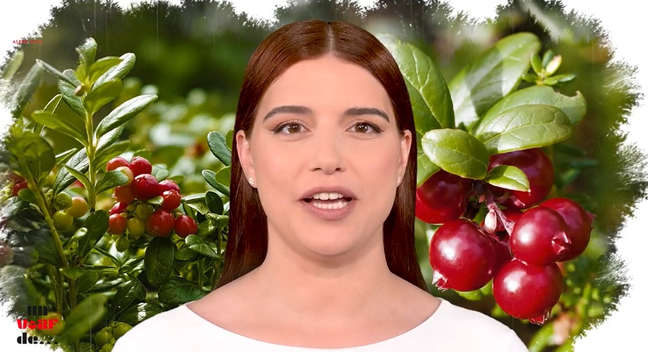 Un vârf de… merișor