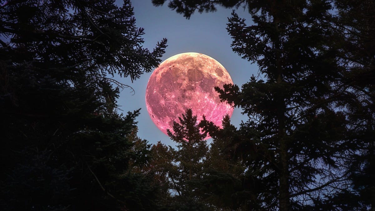 Astăzi vezi Luna Căpșună, cea mai joasă Lună Plină din ultimii 18 ani. Ce face fenomenul atât de spectaculos