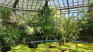 Grădina Botanică din Cluj aniversează 100 de ani de la deschidere. La ce expoziții și ateliere poți participa