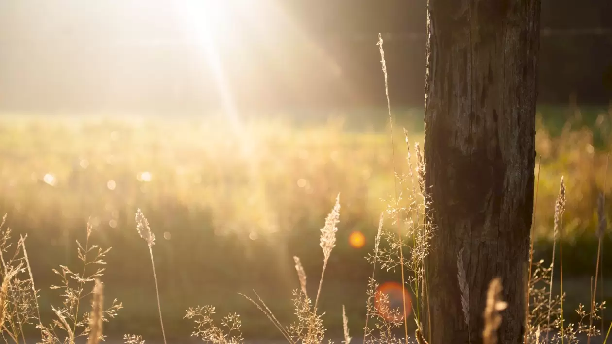 Începi weekend-ul cu maxime sub 30 de grade. Cerul va fi variabil, cu înnorări temporare după-amiaza la munte şi în sudul ţării