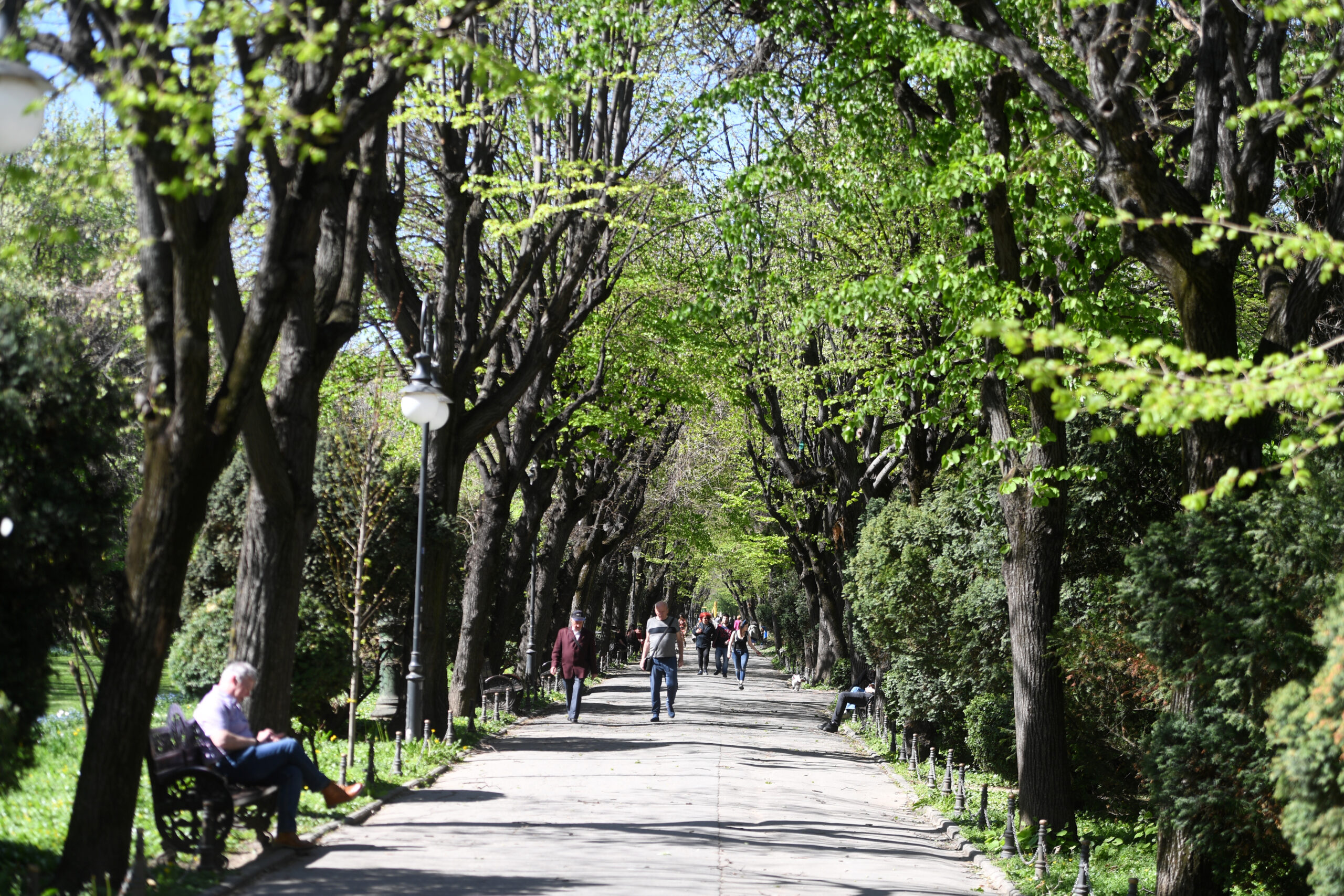 ANM emite o avertizare de caniculă în toată țara. Weekend-ul se anunță mai răcoros