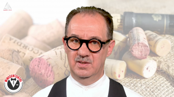 Winecentziatul. Defectele vinului