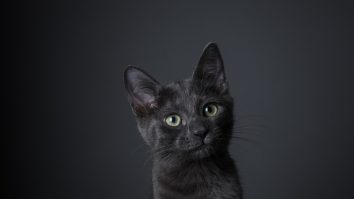 Aproximativ 70% dintre români cred în superstiții. De unde vine frica de numărul 13