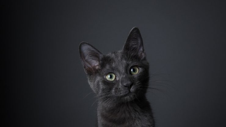 Aproximativ 70% dintre români cred în superstiții. De unde vine frica de numărul 13