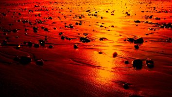 Pentru cei puternici, crimele sunt ceea ce comit alţii