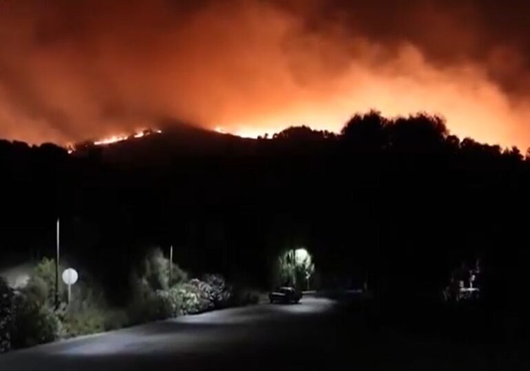 Grecii se luptă cu focul. Flăcările au cuprins nord-estul insulei Chios din Grecia/ Insula a fost plasată în stare de urgență