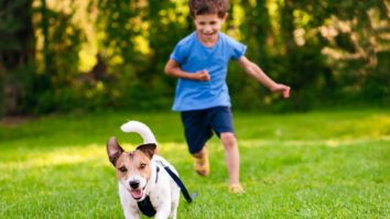 De 1 Iunie, oferă-i copilului un prieten blănos: Care sunt animale de companie potrivite pentru copii