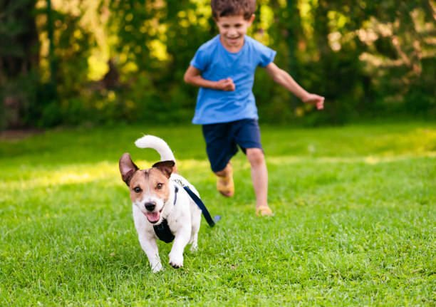 De 1 Iunie, oferă-i copilului un prieten blănos: Care sunt animale de companie potrivite pentru copii