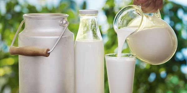 Americanii redescoperă calitățile laptelui nepasteurizat. Vânzările au crescut cu 18%
