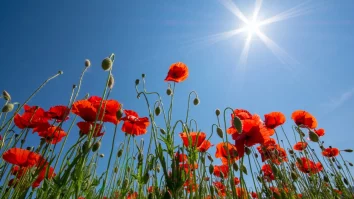 Sudul țării resimte astăzi temperaturi sufocante, dar vremea se răcește din weekend