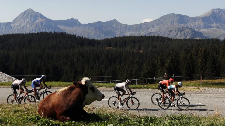 Etapa a 19-a din Turul Franței a fost scurtată după ce o turmă de vite infectate cu dermatită nodulară contagioasă a ajuns pe traseu