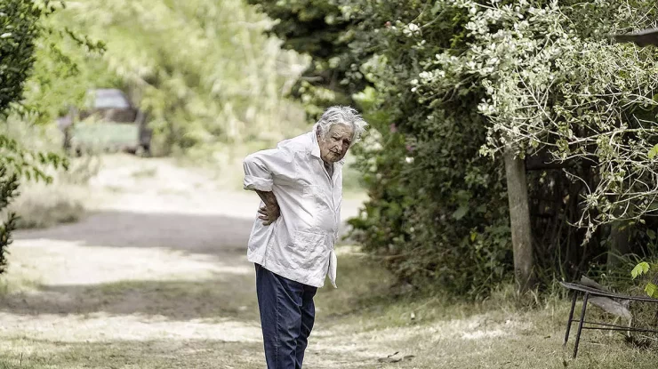 Cel mai bogat preşedinte din lume a pus un rege într-o vază