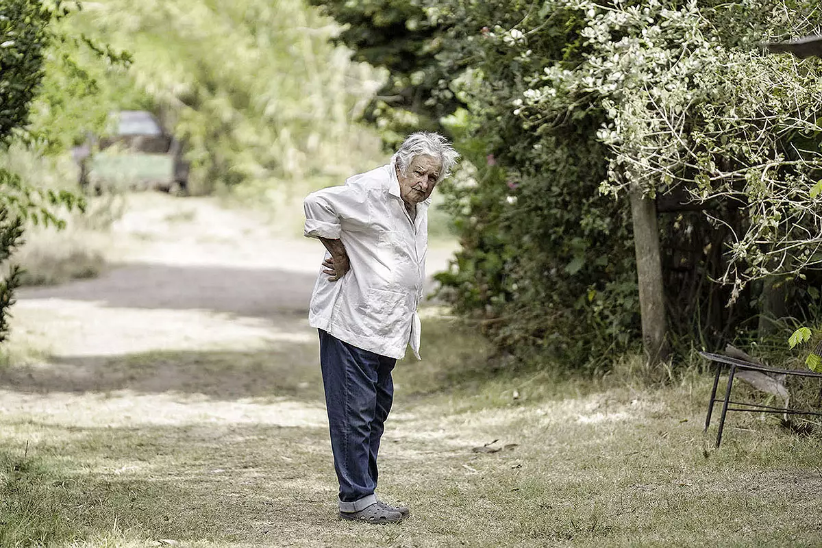 Cel mai bogat preşedinte din lume a pus un rege într-o vază