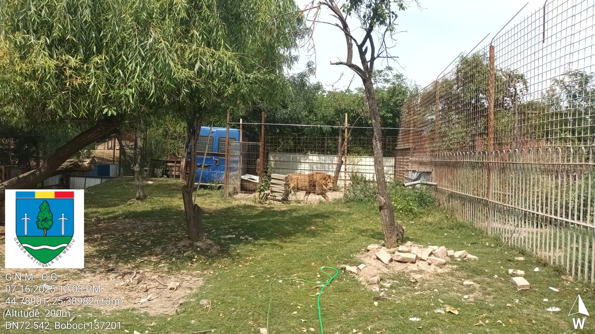 Garda de Mediu a descoperit o grădină zoologică ilegală în Dâmbovița. Proprietarul cerea bani pentru poze cu tigri și maimuțe