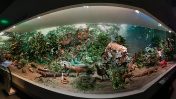 Ce faci în acest weekend călduros? Muzeul Național „Grigore Antipa” te invită să îi descoperi frumusețile pe timp de vară