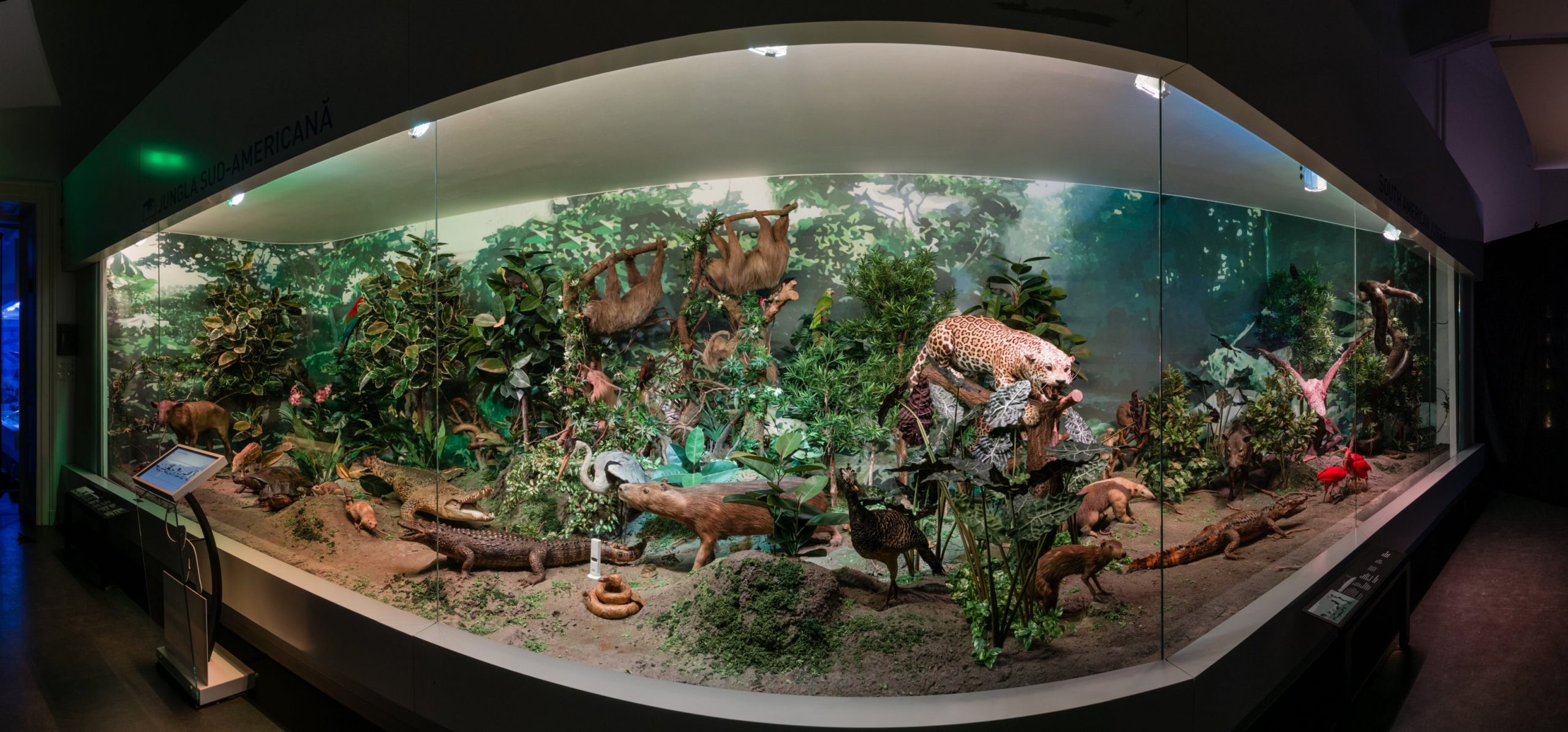 Ce faci în acest weekend călduros? Muzeul Național „Grigore Antipa” te invită să îi descoperi frumusețile pe timp de vară