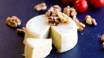 O echipă daneză a produs pentru prima dată brânză vegană. Cum se schimbă domeniul culinar