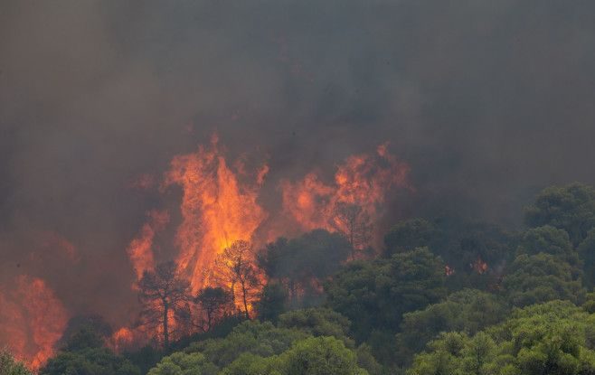 Ai grijă dacă ai o vacanță în Grecia. În ultimele 24 de ore au izbucnit 50 de incendii, iar autoritățile au transmis o alertă de călătorie