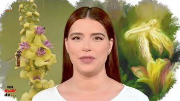Un vârf de… Lumânărică