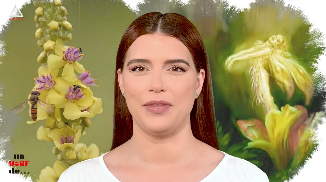 Un vârf de… Lumânărică