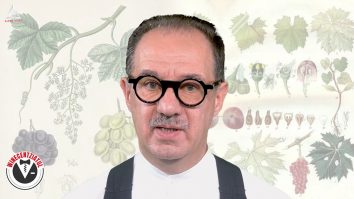 Wincentziatul. Specii de viță de vie