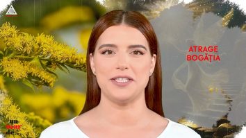 Un vârf de… splinuță