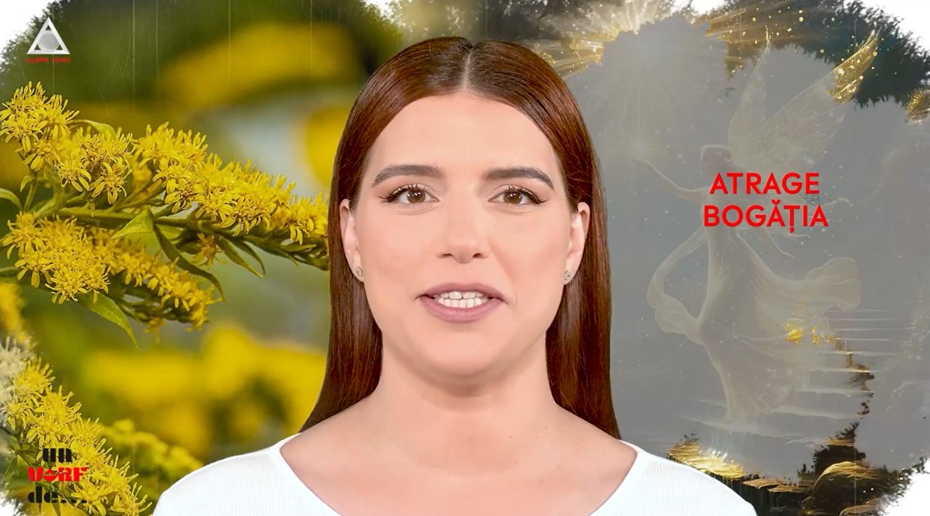 Un vârf de… splinuță