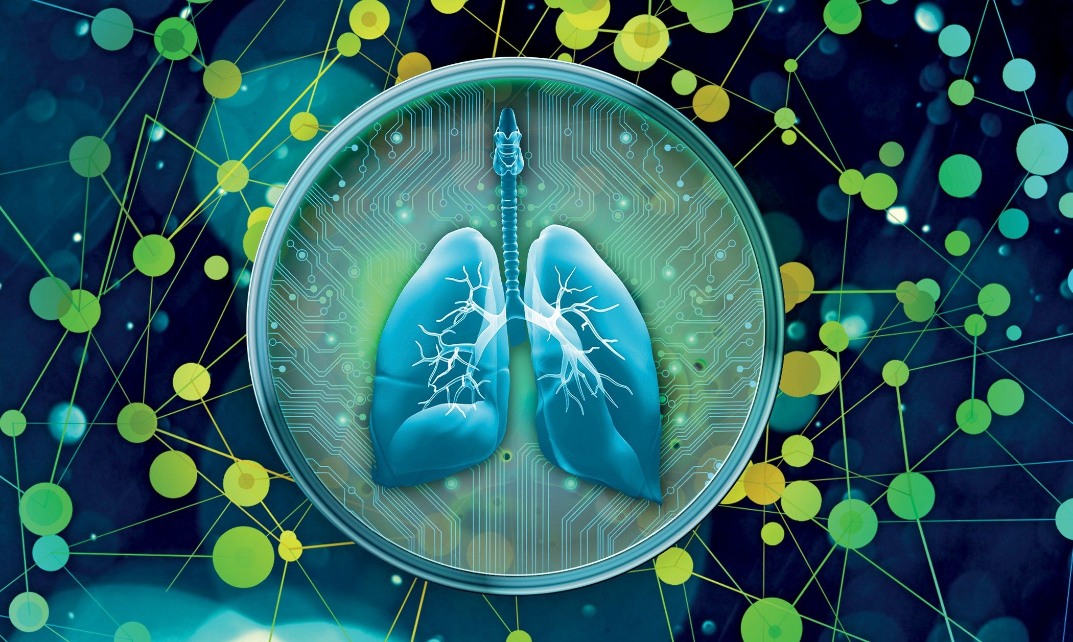 Progres major în crearea organelor în laborator: Cercetătorii au creat miniorgane care își dezvoltă natural propriile vase de sânge