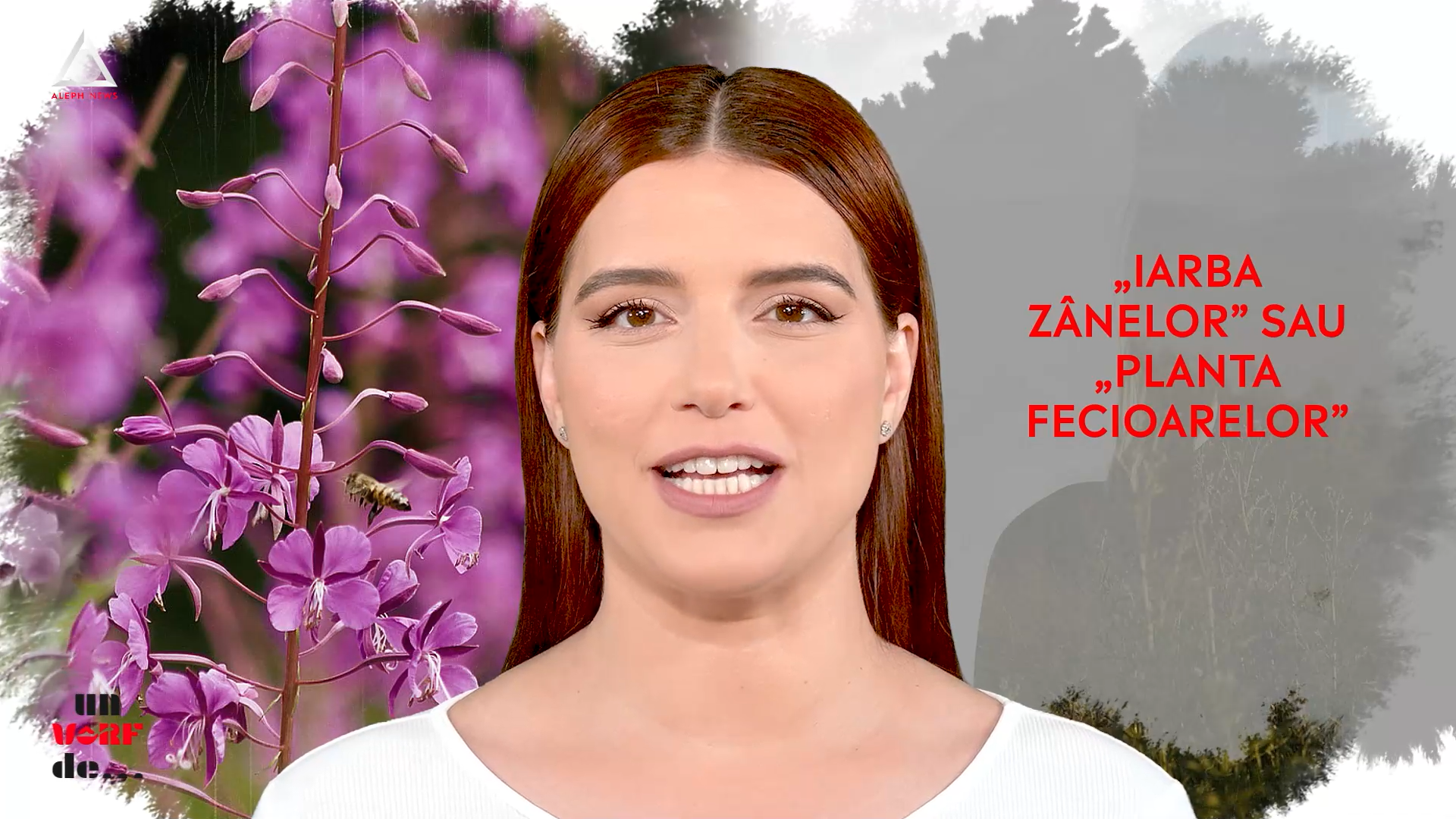 Un vârf de… Pufulița