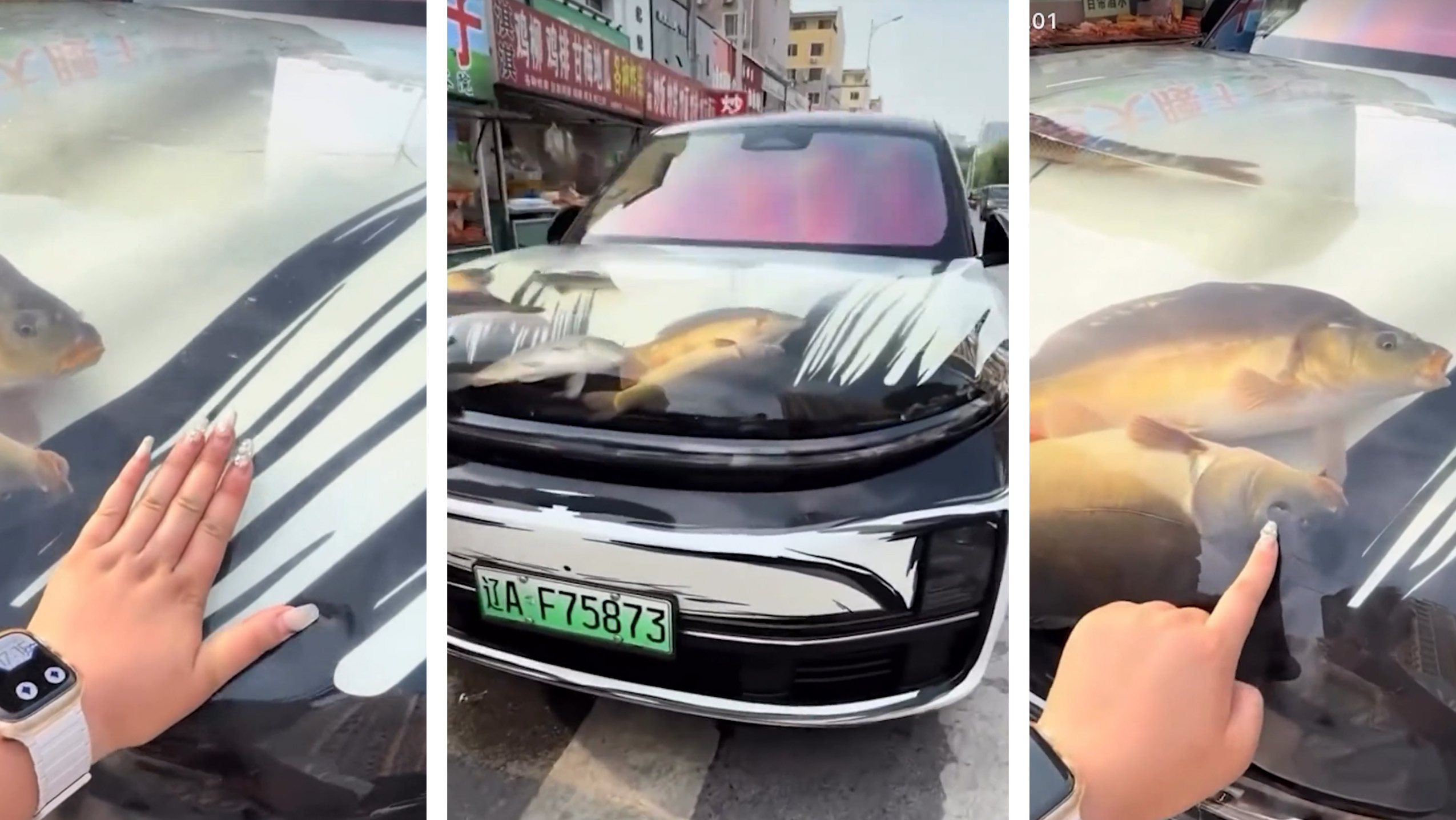 Chinezul care și-a făcut acvariu în capota mașinii devine viral, dar poliția animalelor l-a oprit