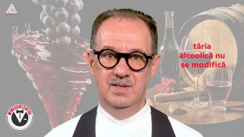 Winecentziatul. Fereastra de consum a vinului