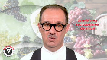 Winecentziatul. Complexitatea Vinului