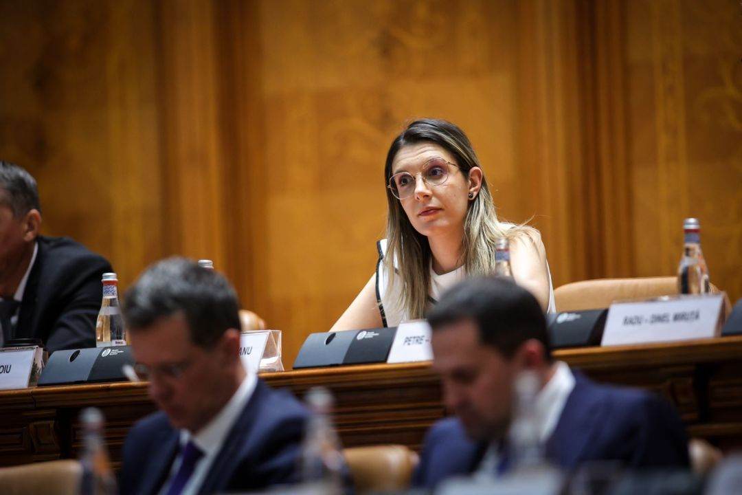 Diana Buzoianu vrea să restructureze Romsilva: „Există 41 de direcții silvice, propunem 12. Păstrăm 10% din numărul de directori”