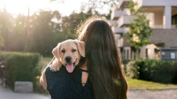 O tânără și-a lăsat câinele în grija colegei de apartament. Proprietara a plecat 2 zile, timp în care câinele a fost dat spre adopție