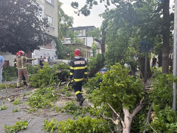 FOTO. Furtuna a făcut ravagii în București. O femeie a murit după ce acoperişul unei clădiri a căzut peste imobilul în care ea se afla. Mai mulți copaci au fost smulși din rădăcini