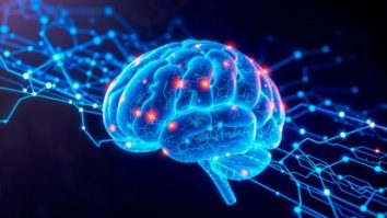 Cercetătorii au găsit dovezi care demonstrează capacitatea creierului de a continua să producă noi neuroni până la vârsta adultă