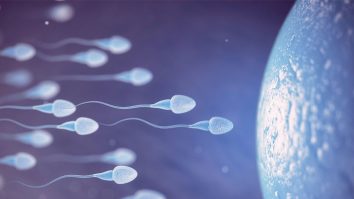 Infertilitatea masculină devine o problemă din ce în ce mai mare în nașterea copiilor. Cum poate rezolva A.I.-ul aceste lucruri