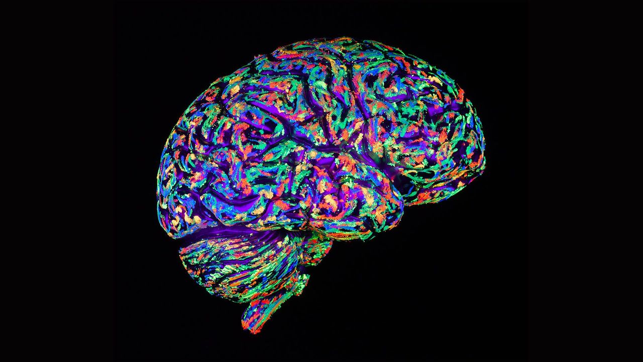 STUDIU. Persoanele optimiste au modele similare de activitate cerebrală