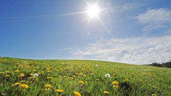 Ploile iau o pauză din toată țara până duminică după-amiaza. Temperaturile nu mai ajung la pragul caniculei