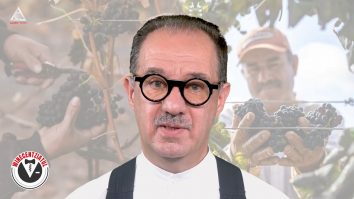 Wincentziatul. Varietăți de viță de vie